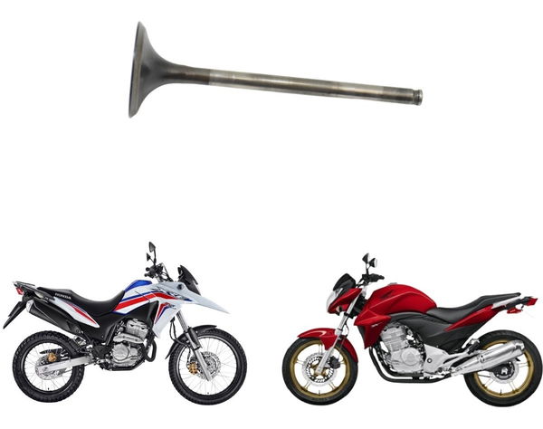 Válvula Admissão Honda Cb 300 Xre 300 Original