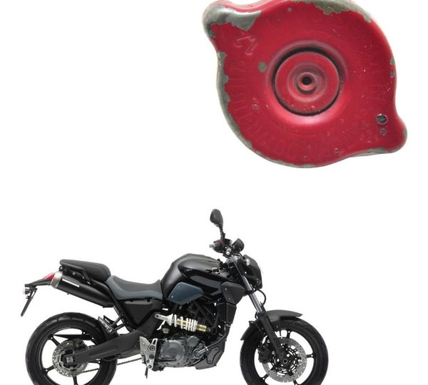 Tampa Radiador Yamaha Mt 03 05-11 Original