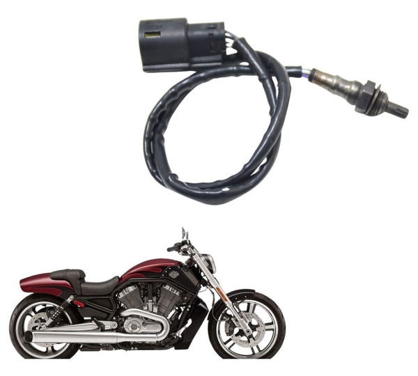 Sonda Lambda Harley V-rod Muscle 12-17 Original