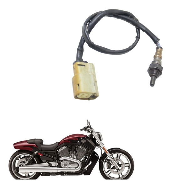 Sonda Lambda Harley V-rod Muscle 12-17 Original