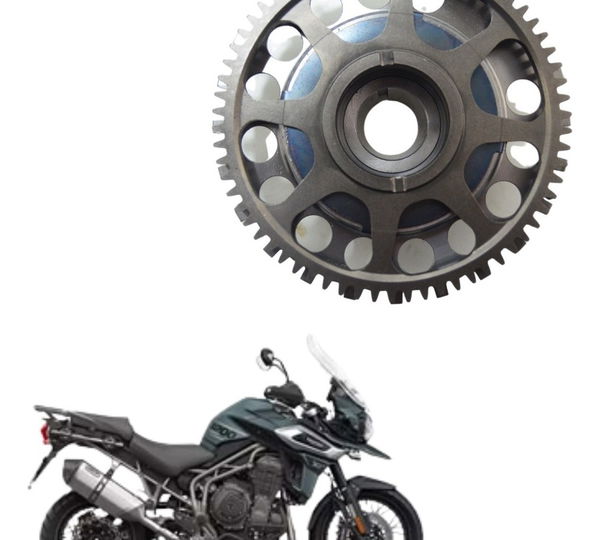 Placa Partida Triumph Tiger 1200 Xca 18-21 Original