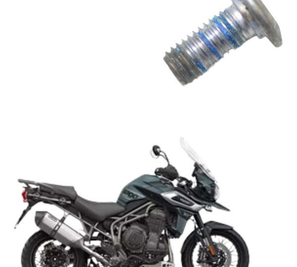 Parafuso Disco Freio Tras Triumph Tiger 1200 Xca 18-21 Orig