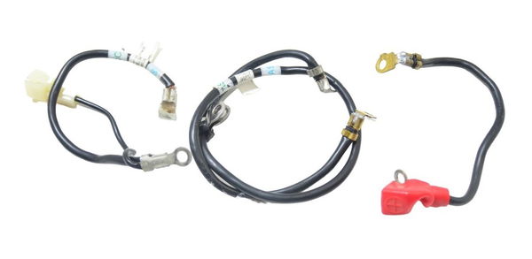 Cabo Bateria +/- Triumph Tiger 900 Rally Pro 20-23