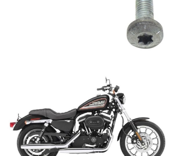 Parafuso Disco Freio Diant Harley 883 R Sportster 08-11 Orig