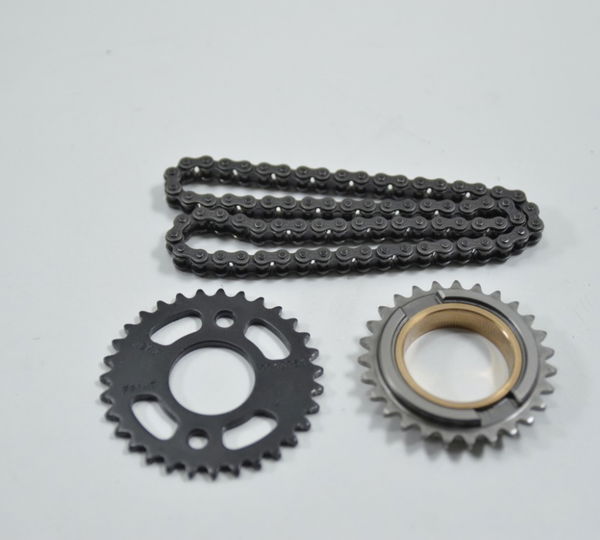 Engrenagem Corrente Bomba Oleo Bmw S 1000rr 1000 Rr 15-19