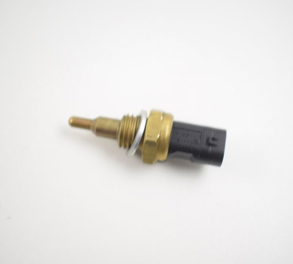 Sensor Temperatura Bmw R 1250 Gs R 1250gs 19-20