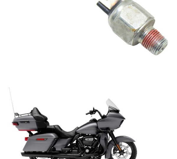 Interruptor Freio Tras Harley Touring Road Glide 114 21-22