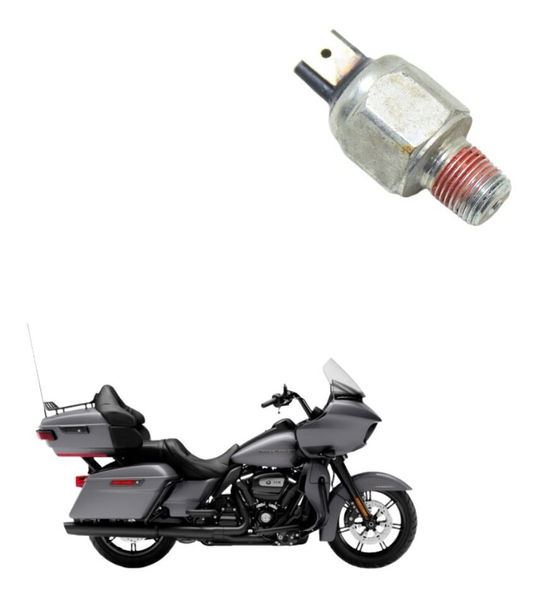 Interruptor Freio Tras Harley Touring Road Glide 114 21-22
