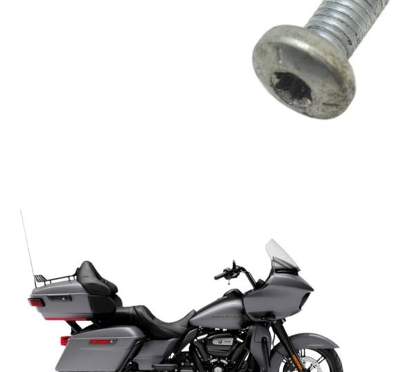 Parafuso Disco Freio Harley Touring Road Glide 114 21-22