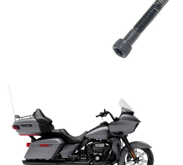 Parafuso Estator Harley Touring Road Glide 114 21-22
