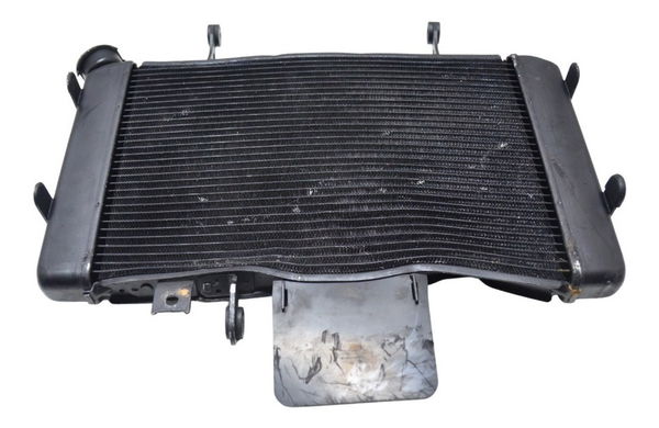 Radiador C/ Avaria Suzuki Dl 650 V Strom 14-17 Original