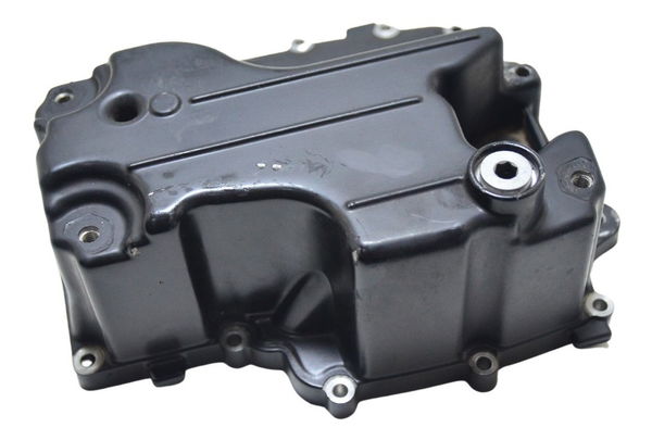 Tampa Carter Triumph Tiger 800 13-19 Original