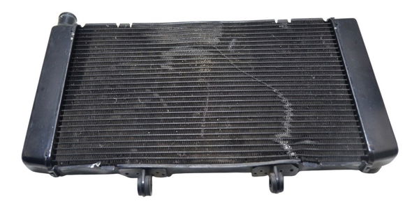 Radiador C/ Detalhes Honda Cb 600f Hornet 08-11 Original