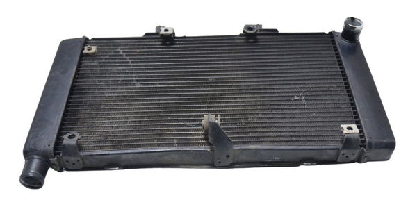 Radiador C/ Detalhes Honda Cb 600f Hornet 08-11 Original