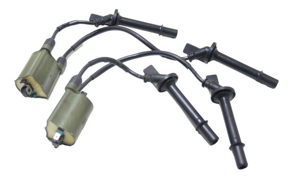 Par Bobina Ignição Honda Cb 600f Hornet 08-11 Original