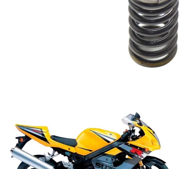 Mola Válvula Suzuki Gsx-r Srad 1000 02-05 Original