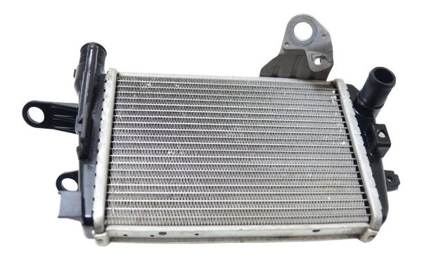 Radiador Esq C/ Detalhes Bmw R1200 R 1200 Gs 13-19 Original