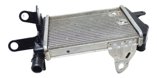 Radiador Esq C/ Detalhes Bmw R1200 R 1200 Gs 13-19 Original