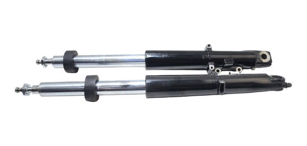 Par Bengalas Harley Electra Glide 1450 00-03