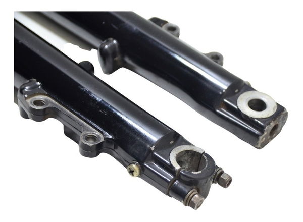Par Bengalas Harley Electra Glide 1450 00-03