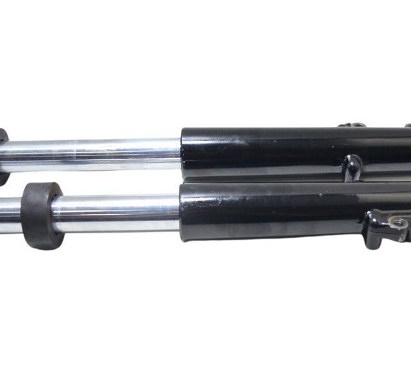 Par Bengalas Harley Electra Glide 1450 00-03