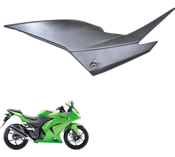 Carenagem Esq C/ Avaria Kawasaki Ninja 250 R 08-12 Original Preto