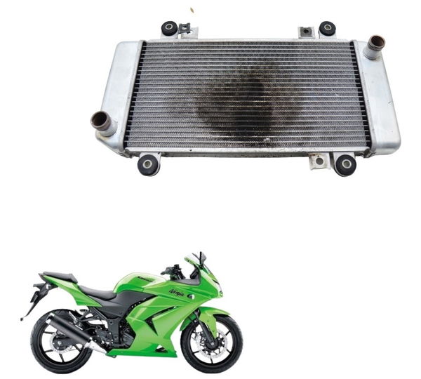 Radiador Kawasaki Ninja 250 R 08-12 Original