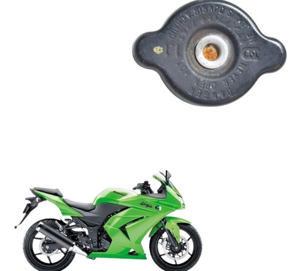 Tampa Radiador Kawasaki Ninja 250 R 08-12 Original