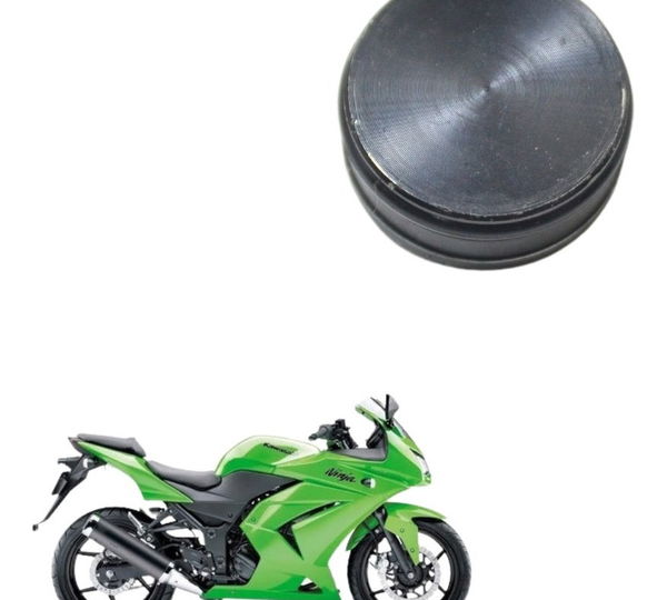 Tampa Bengala Kawasaki Ninja 250 R 08-12 Original