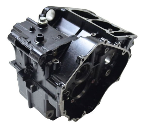 Carcaça Bloco Motor Kawasaki Ninja 250 R 08-12 Original