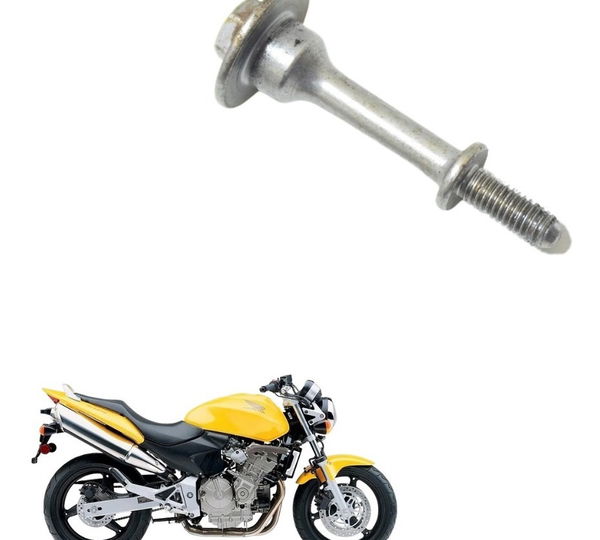 Parafuso Cabeçote Honda Cb 600f Hornet 04-07 Original