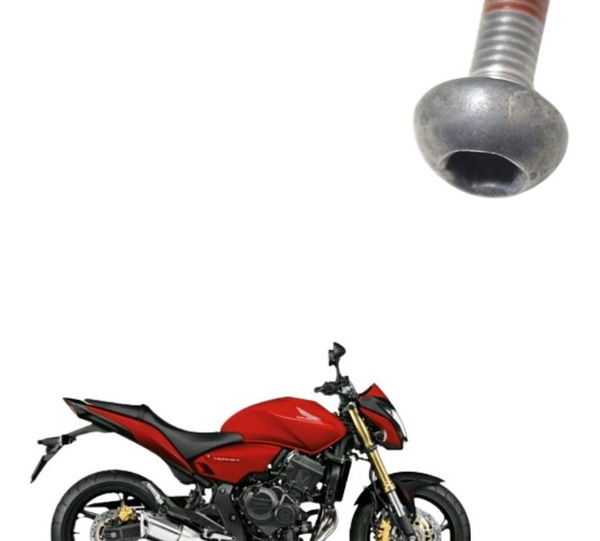 Parafuso Disco Freio Diant Honda Cb 600f Hornet 12-14 Orig