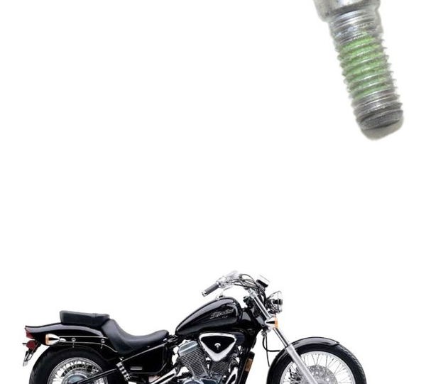 Parafuso Disco Freio Diant Honda Vt Shadow 600 C 95-05 Orig