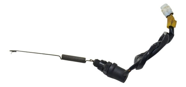 Interruptor Freio Traseiro Yamaha Ys 250 Fazer 10-17 Orig