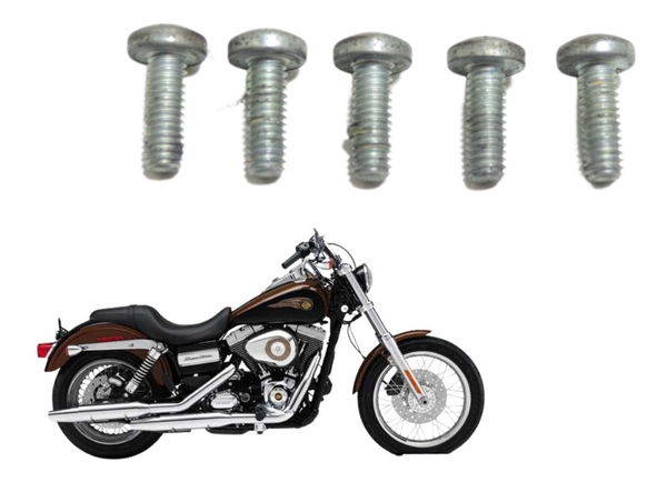 Parafuso Disco Freio Dian Harley Dyna Super Glide 08-11 Orig