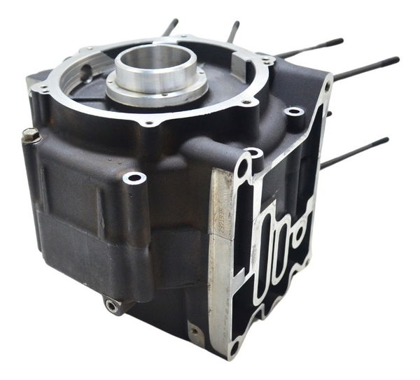 Bloco Motor Carcaça Electra Touring 08-13 Original