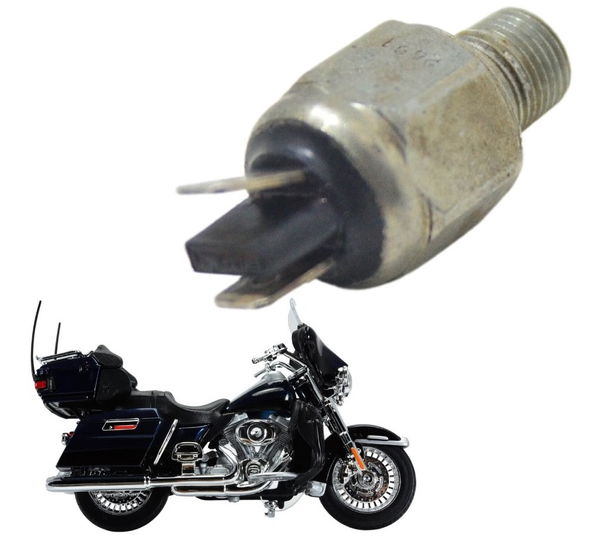 Interruptor Freio Traseiro Harley Electra Touring 08-13 Orig