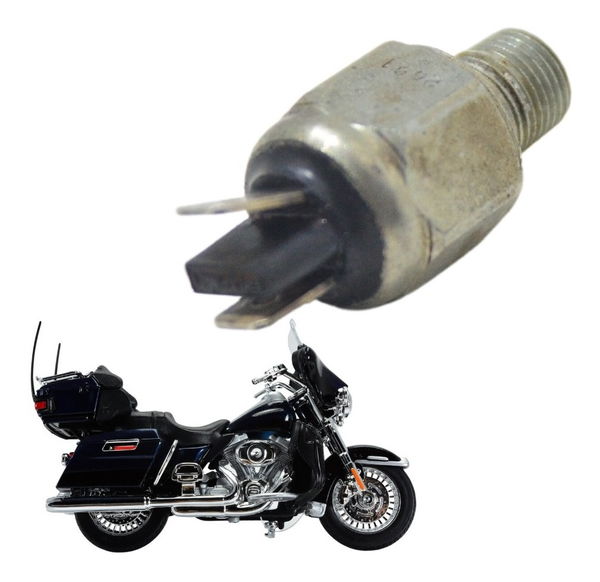 Interruptor Freio Traseiro Harley Electra Touring 08-13 Orig