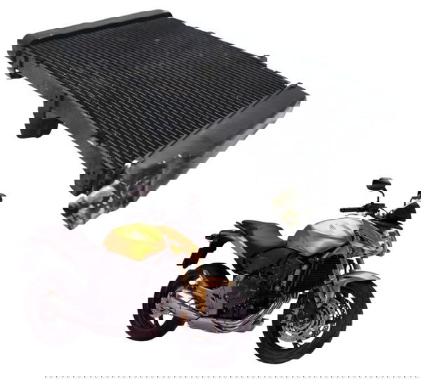 Radiador C/ Avaria Honda Cb 600f Hornet 08-11 Original