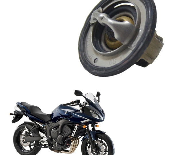 Válvula Termostática Yamaha Fazer 600 S 08-09 Original