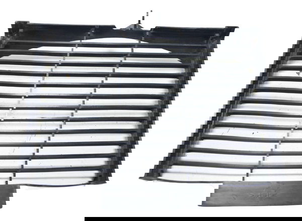 Carenagem Radiador Protetor Yamaha Fazer 600 S 08-09 Orig