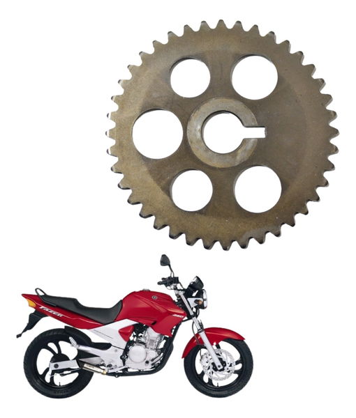 Engrenagem Comando Yamaha Ys 250 Fazer 05-10 Original