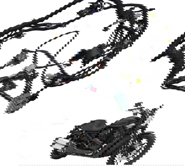 Chicote Principal Harley Night Rod 12-16 Original