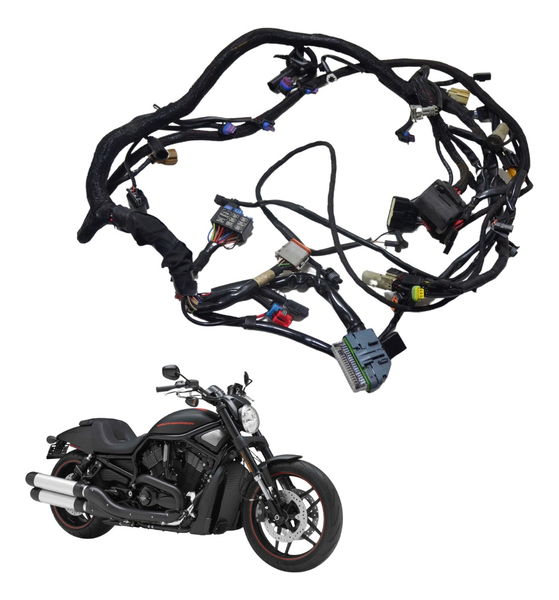 Chicote Principal Harley Night Rod 12-16 Original