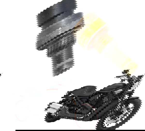 Sensor Temperatura Harley Night Rod 12-16 Original