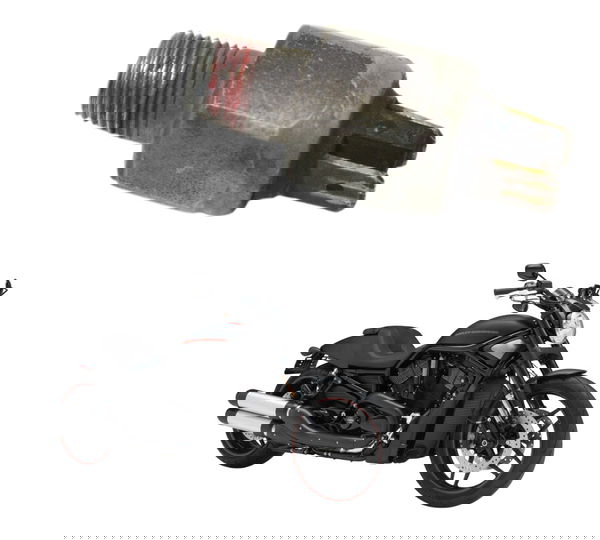 Interruptor Freio Traseiro Harley Night Rod 12-16 Original