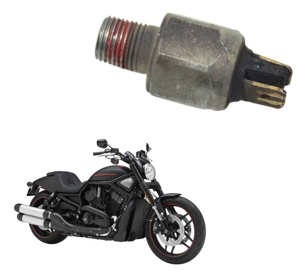 Interruptor Freio Traseiro Harley Night Rod 12-16 Original