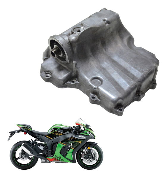 Tampa Carter Kawasaki Zx 10r 17-22 Original