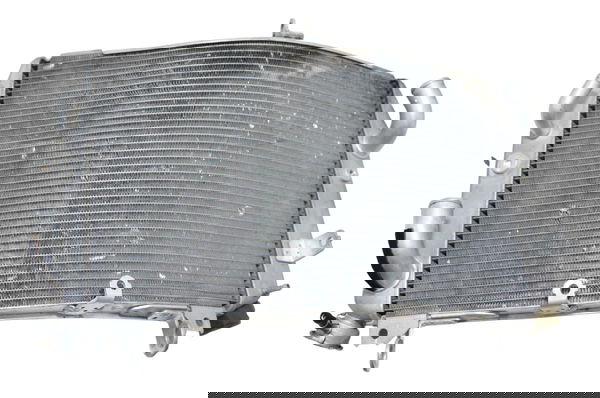 Radiador C/ Detalhes Yamaha Yzf R1 09-15 Original