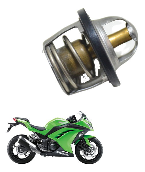 Válvula Termostática Kawasaki Ninja 300 13-18 Original